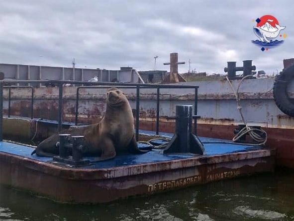 Фото Администрации Усть-Камчатского округа