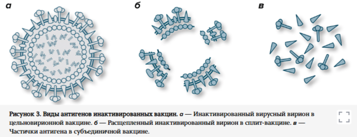 Источник: Gary J. Nabel. (2013). Designing Tomorrow's Vaccines. N Engl J Med. 368, 551-560.