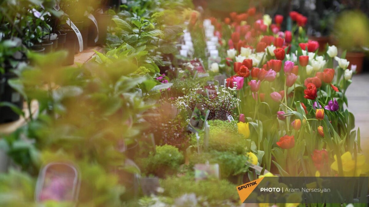 © Sputnik / Aram Nersesyan