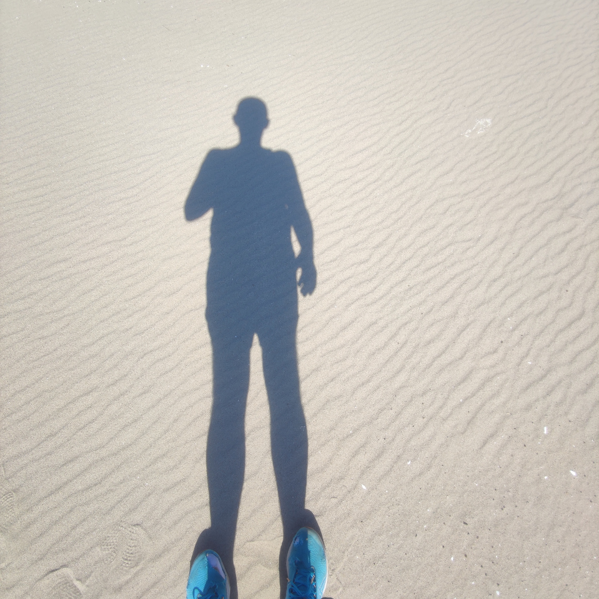 Пустыня на берегах Волги