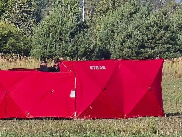    Фото: AP Photo/Piotr Pyrkosz