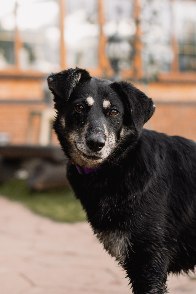 Наша милашка-букашка