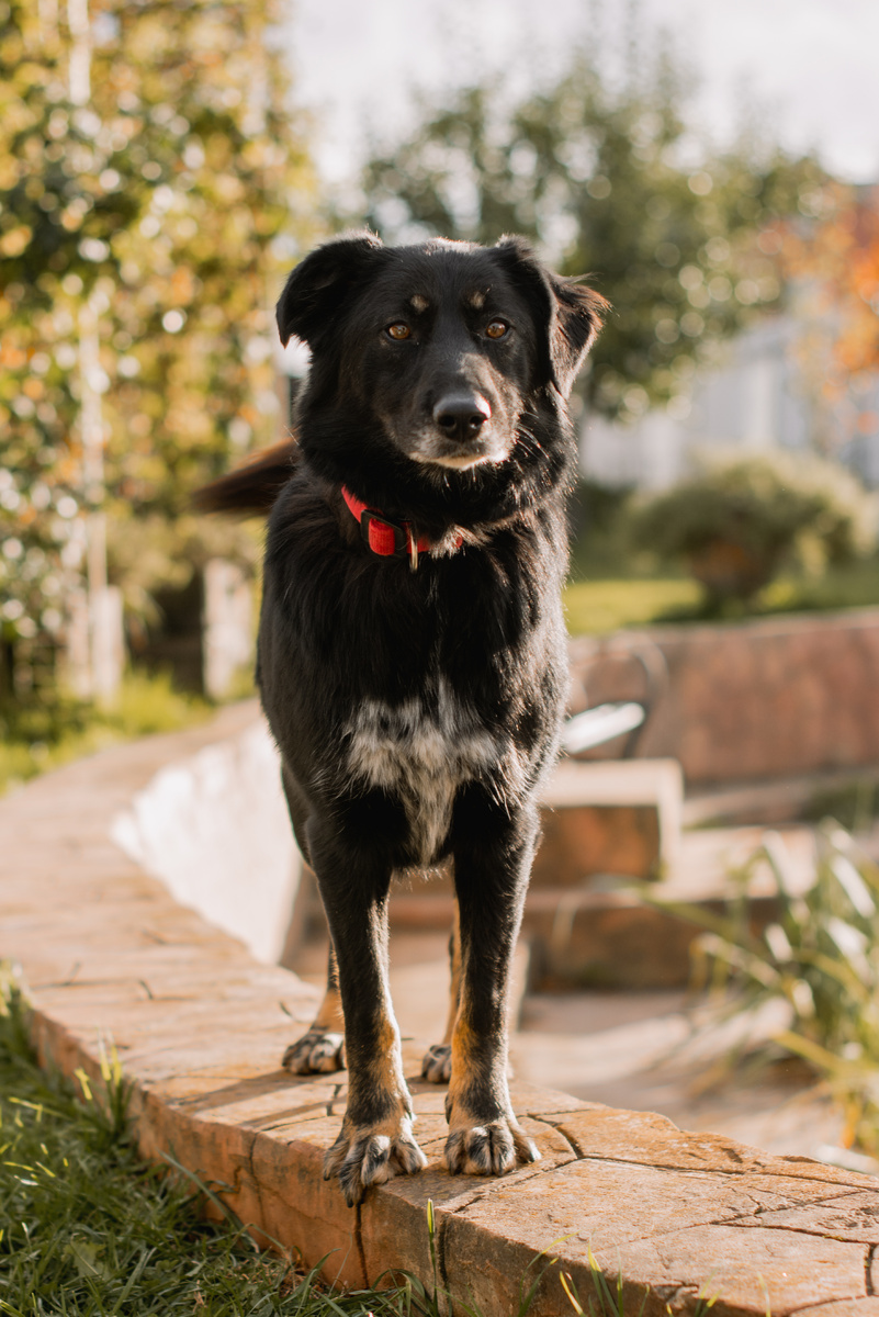 Не обижайте нашу передержку, она лучшая)