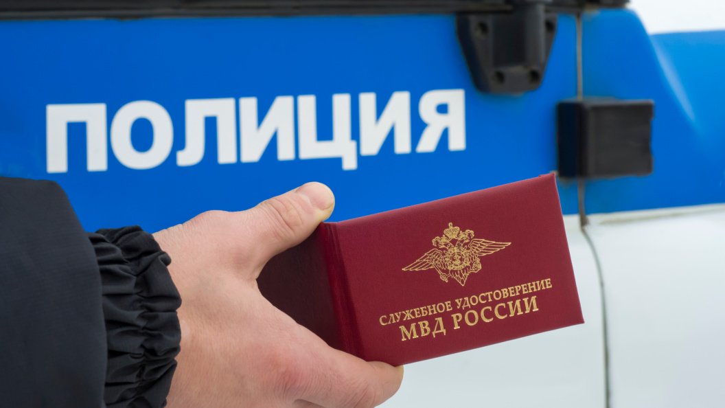    Фото: Alexandr Jitarev/shutterstock