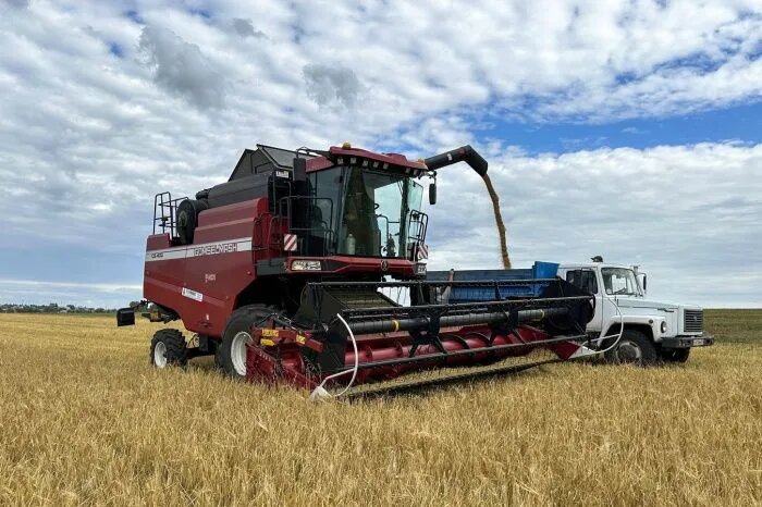 Фото: freepik.com/