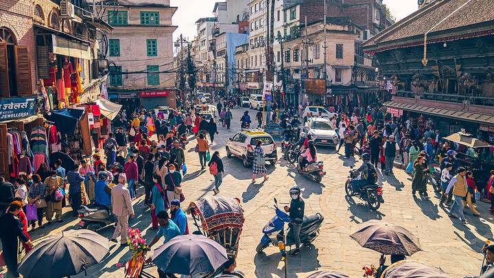  Фото: Shutterstock