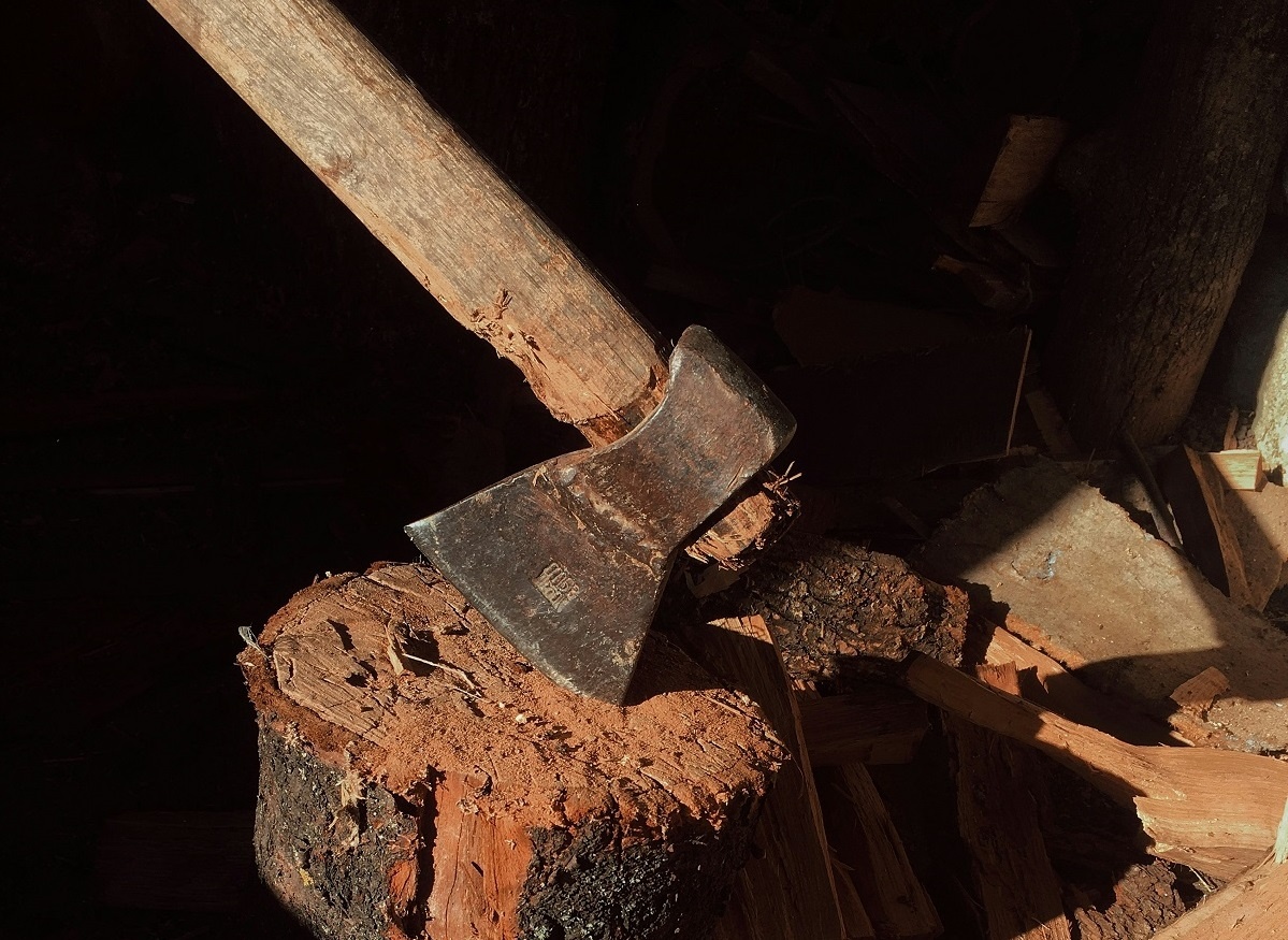     Фото: unsplash.com