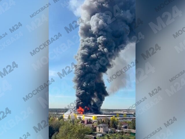    Фото: Москва 24