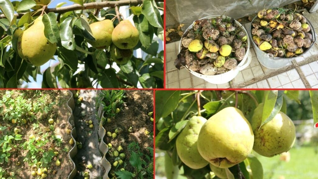 Фото использовано в качестве иллюстрации. Источник Яндекс-картинки