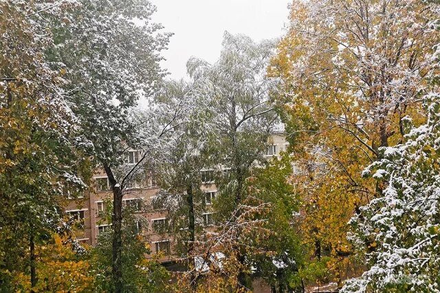    Когда ляжет снег в Москве?