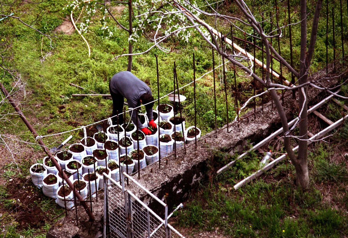 © photo: Sputnik / Stringer