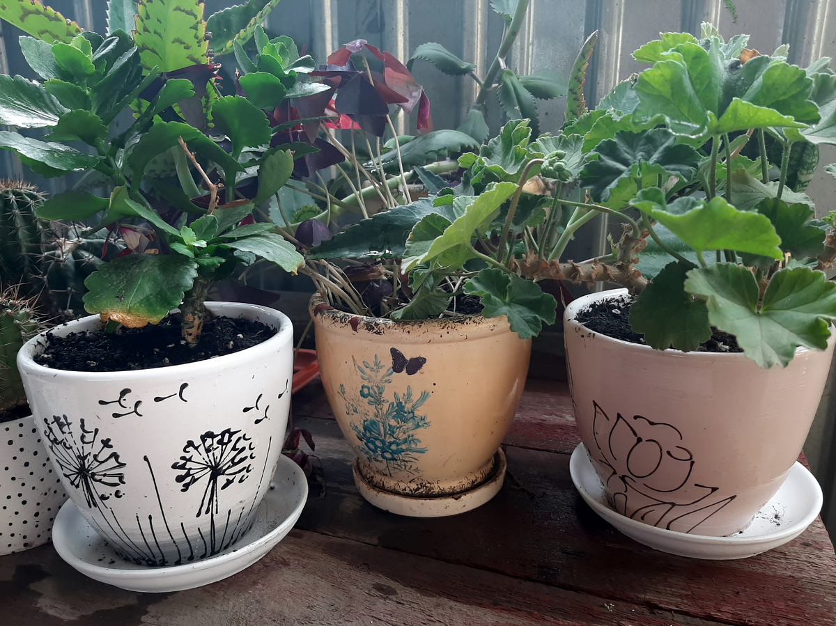 По краям новенькие, в центре старичок