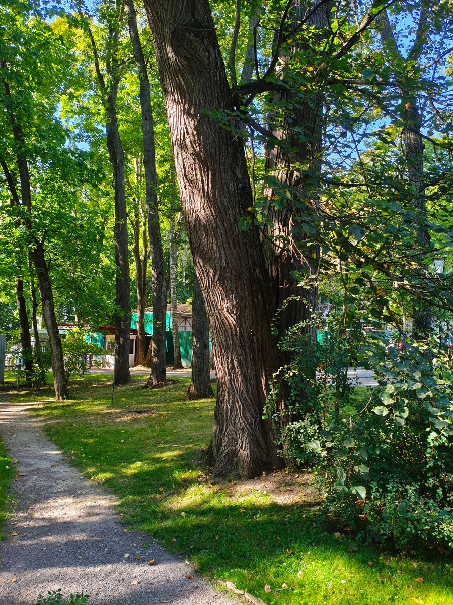 Фото автора.