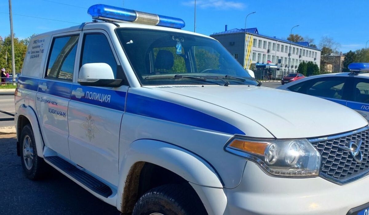     Патрульный автомобиль полиции. Источник: ОМВД по ЧГО Автор фото: Отдел МВД по ЧГО