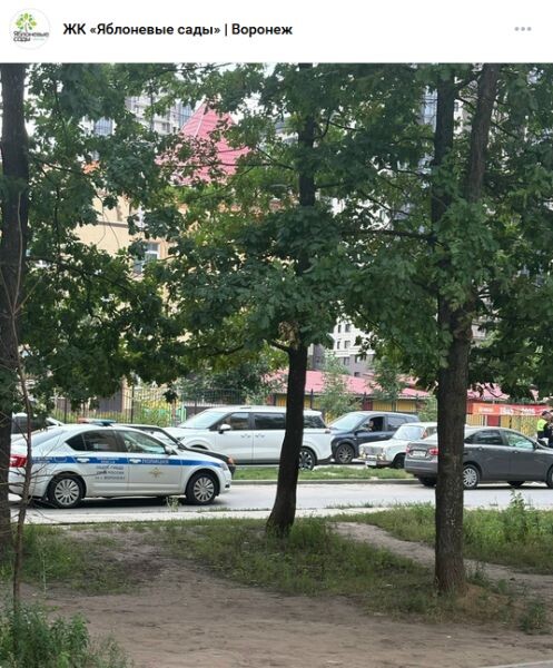    Фото: скриншот из соцсетей