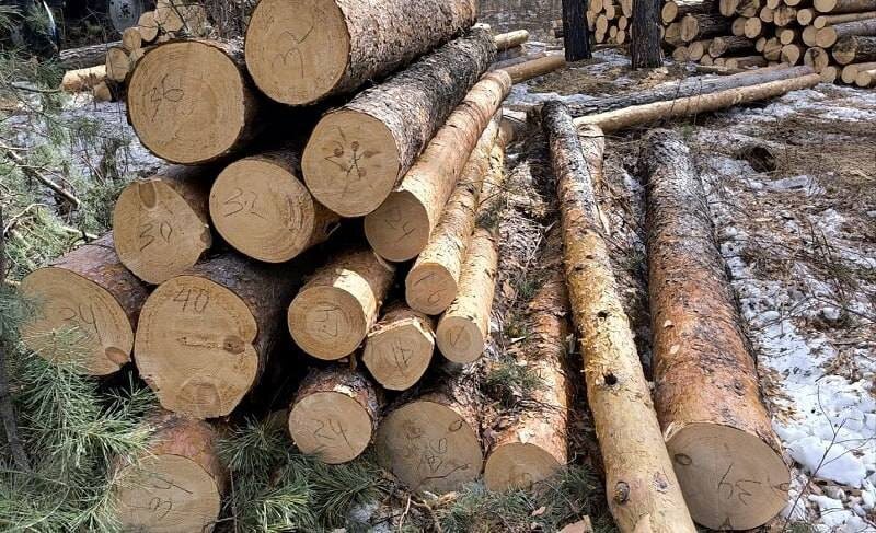    фото: МВД24 Kristina