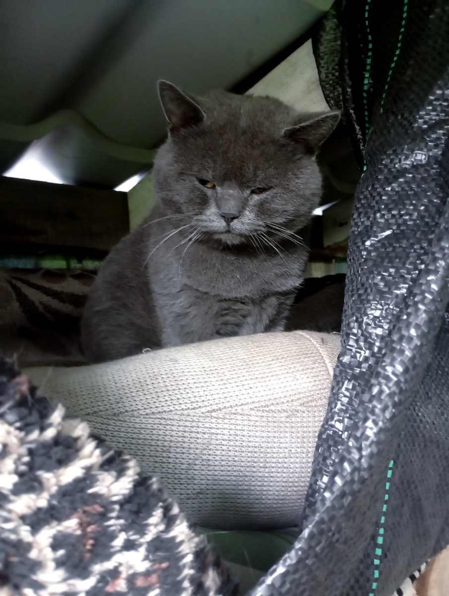 Что там мне на завтрак?