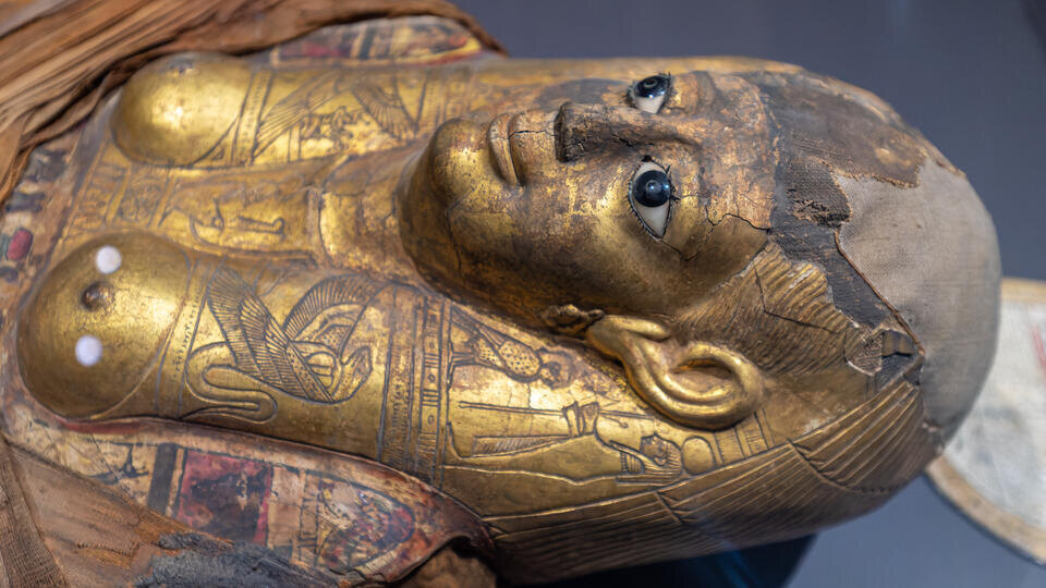 Фото: © www.globallookpress/Komsomolskaya Pravda