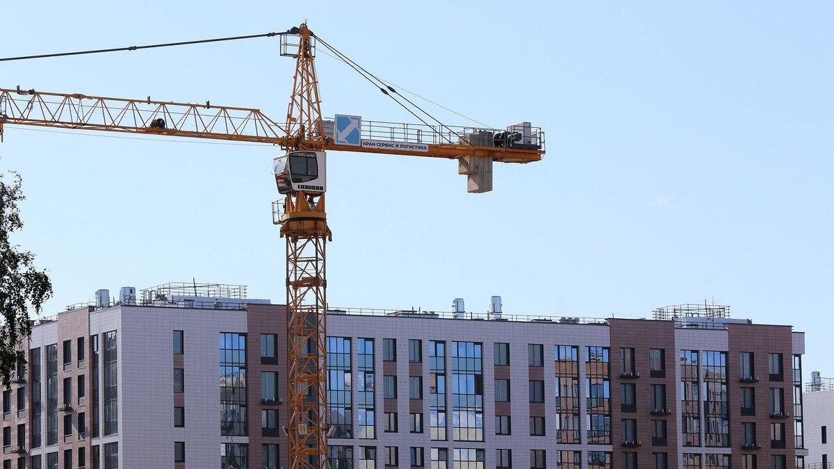    Фото: Maksim Konstantinov/globallookpress.com