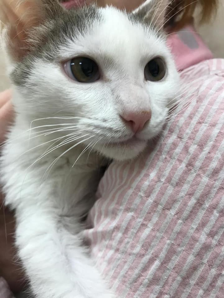 Где там ваше это светлое будущее?? Ничего не видно