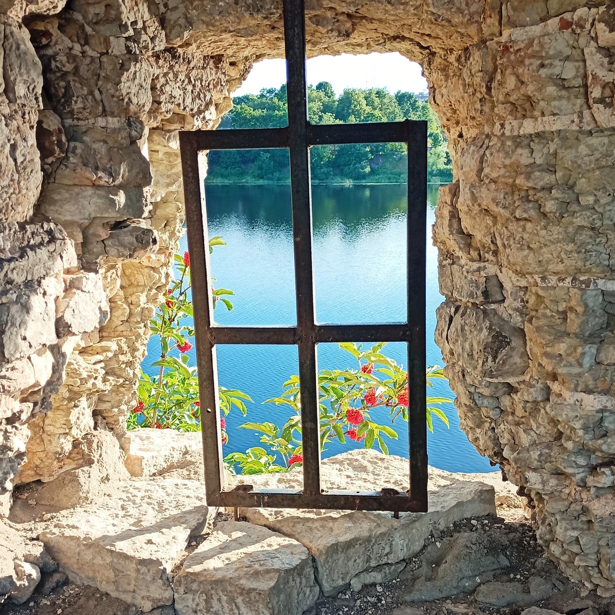 Вид на реку Великую со стены Псковского крома