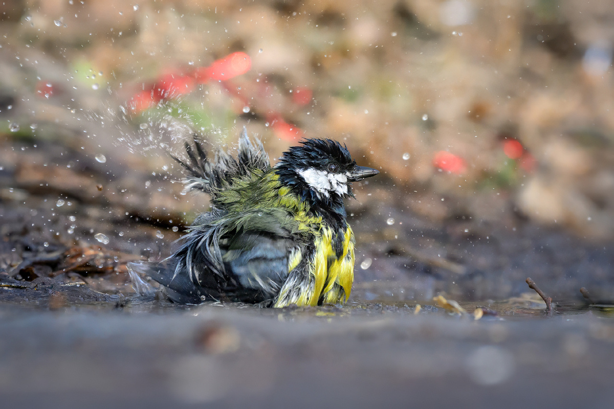 Надо надо умываться по утрам и вечерам!