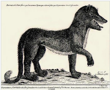 Изображение зверя, 1765 год