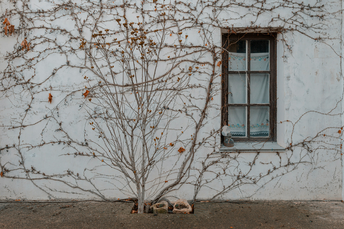 А можно и не человека снимать, а животных, растения или предметы!