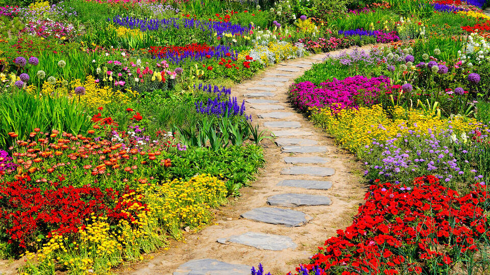 Фото: © Song Jiaru/VCG/Visual China Grou/TASS