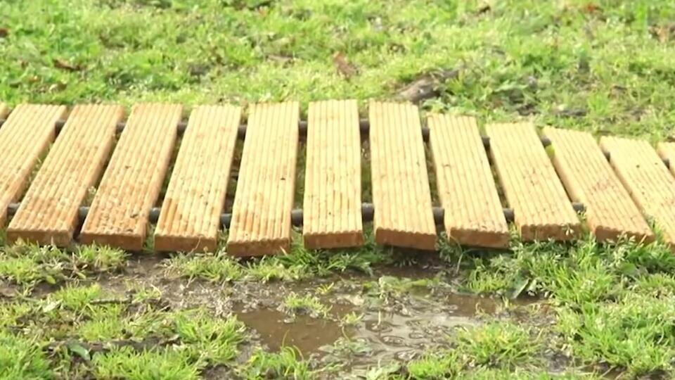 Фото: © Кадр из программы "Самая полезная программа", РЕН Т