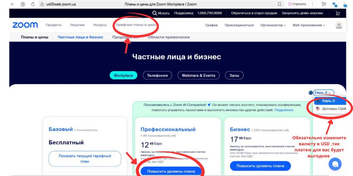 Инструкция для оплаты zoom pro тариф профессиональный