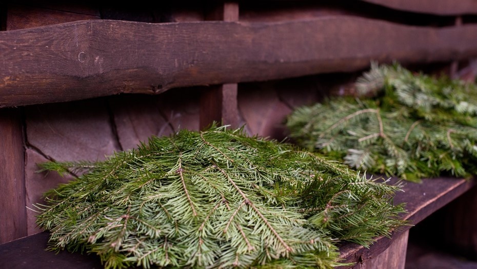    Автор фото: Ермохин Сергей/"ДП"