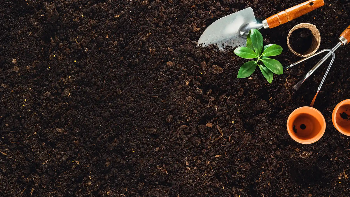 Источник: shutterstock.com