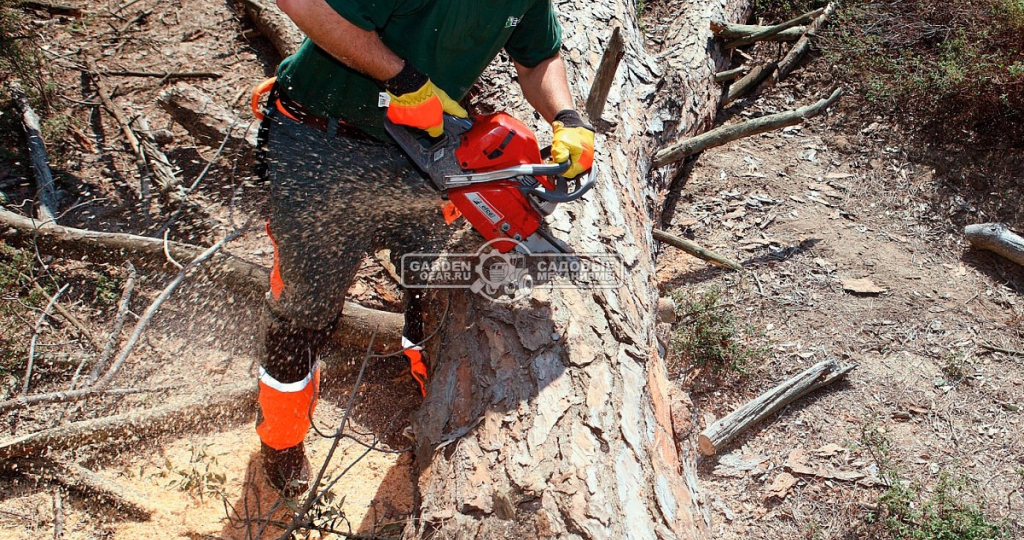 Рейтинг бензопил 2025