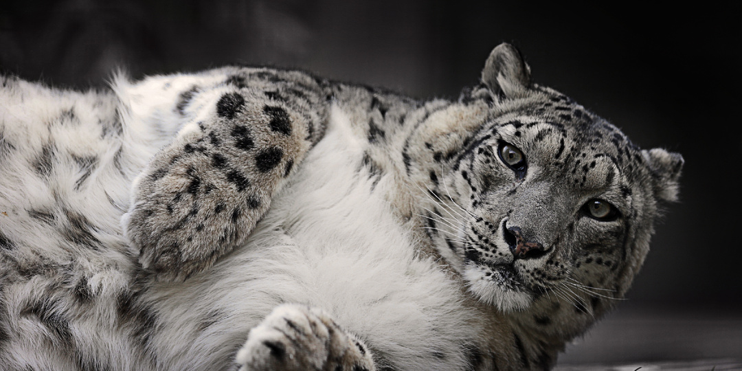 24 часа из жизни призрака. Одиночество на крыше мира.