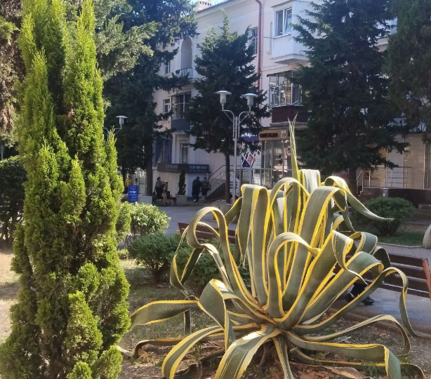 Что делать, если я ничего не могу с этим поделать.