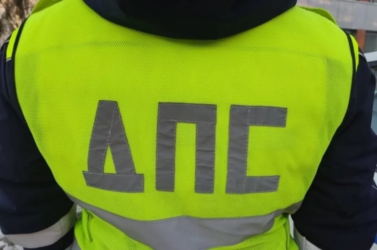    Макеты пешеходов появятся на обочинах дорог в Псковской области