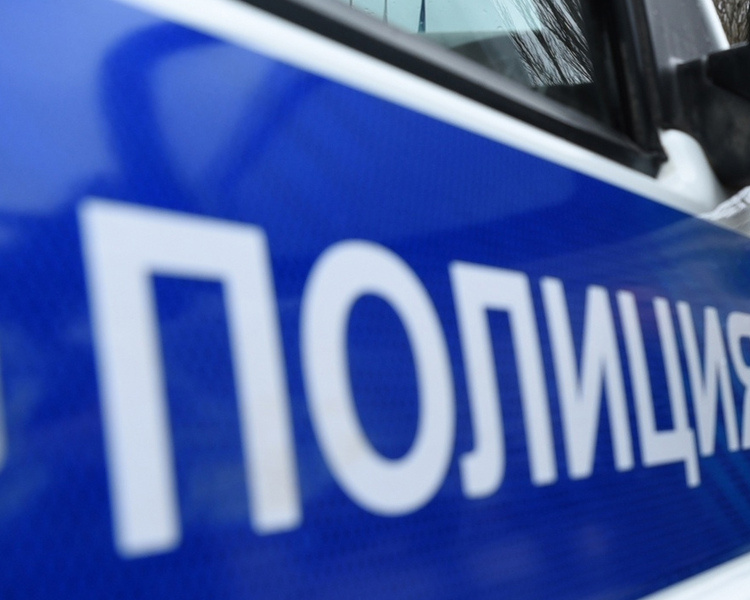     В Курской области мужчина оштрафован за ложный вызов полиции