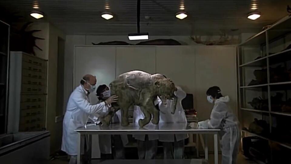 Фото: © Кадр из программы "Загадки человечества", РЕН ТВ