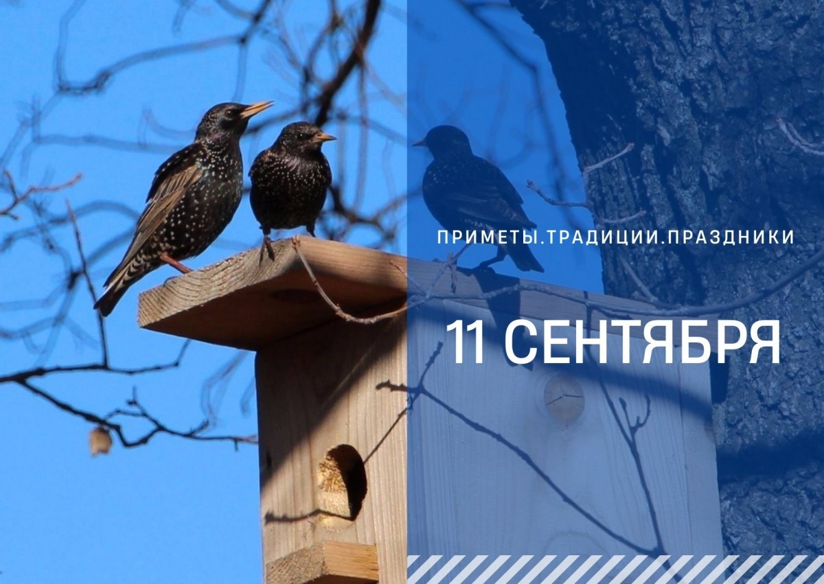   ГТРК "Ставрополье"