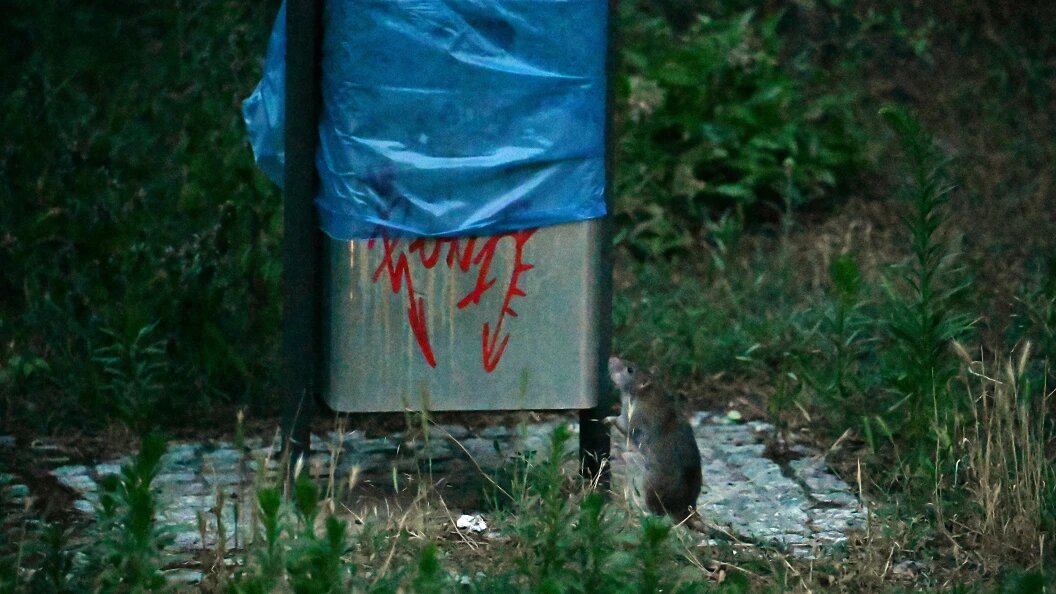    Фото: Maximilian von Klenze/dpa/Globallookpress