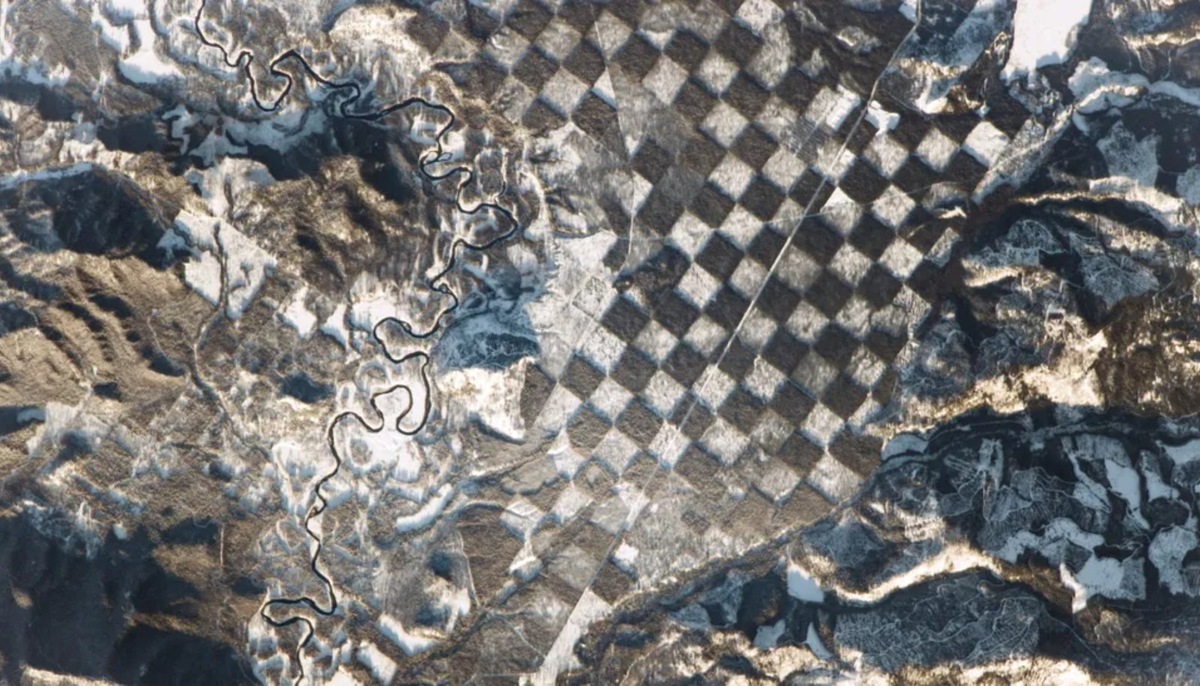    Из космоса этот участок леса похож на гигантскую шахматную доску благодаря особой ​​системе лесопользования и снежному покрову