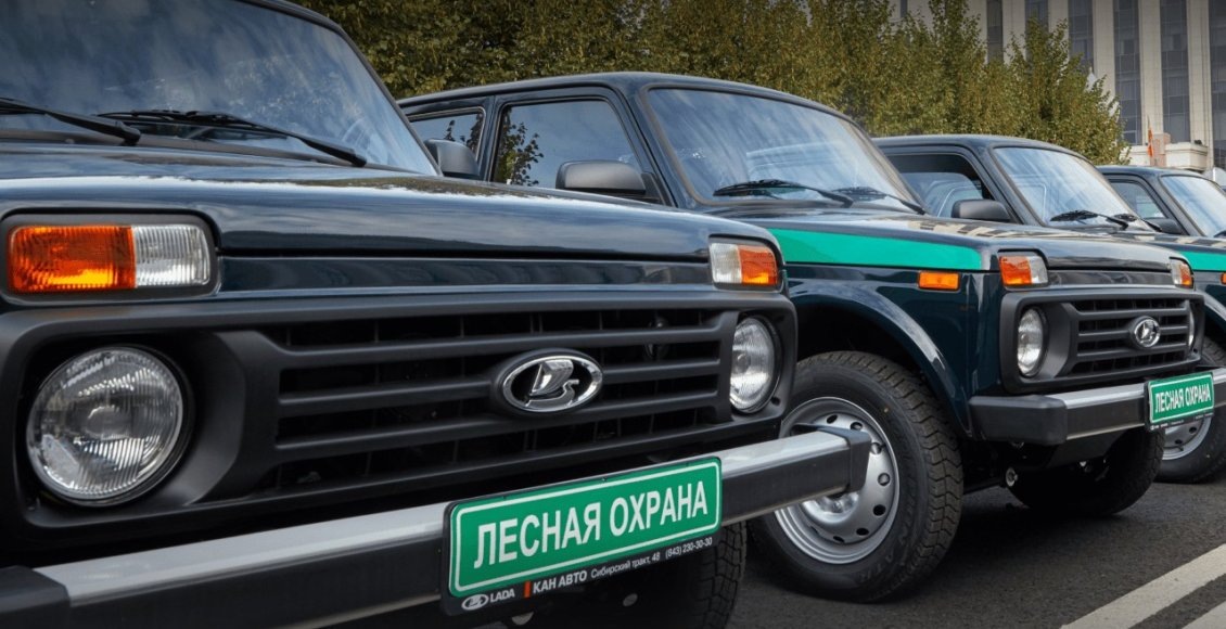    Фото: Пресс-служба Рослесхоза