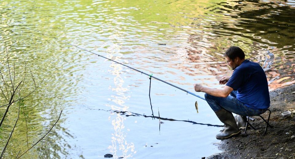    РИА «Новости»