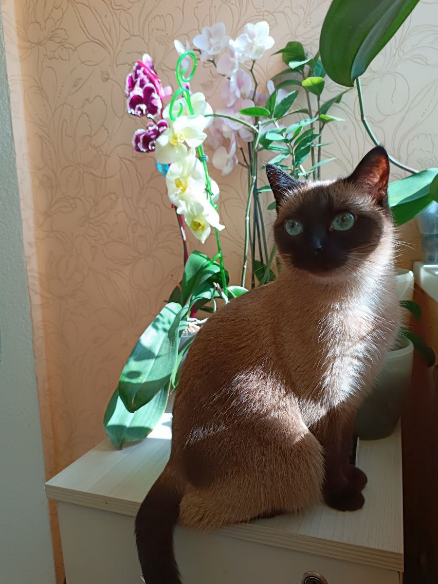 Обложка статьи