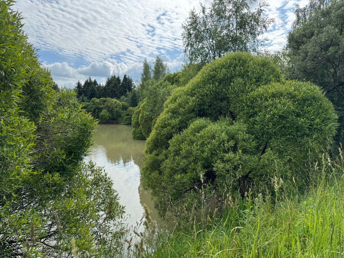 ИВА ЛОМКАЯ «БУЛЛАТА»