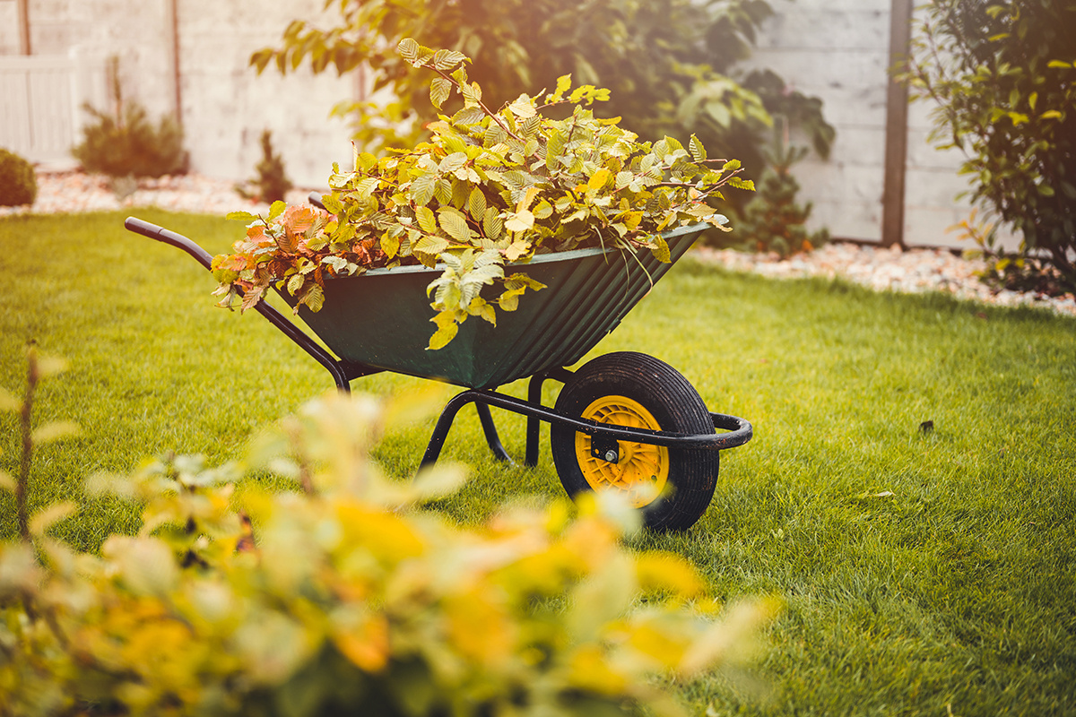    Peter Kniez / Shutterstock / FOTODOM