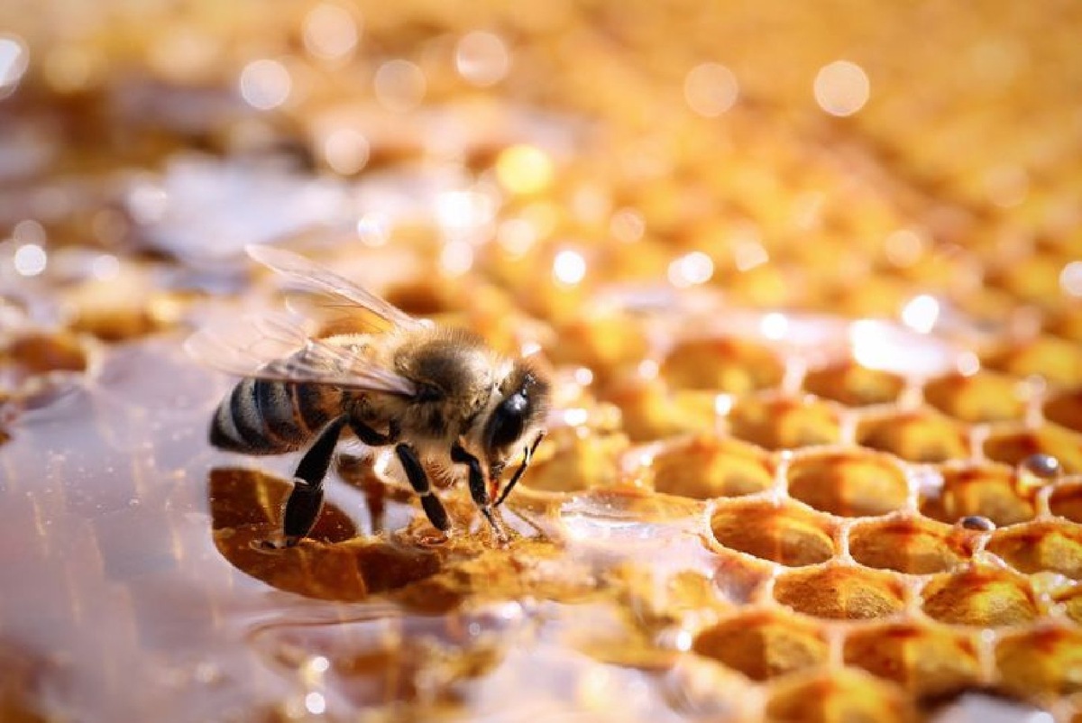    Фото: istockphoto/Liudmila Chernetska