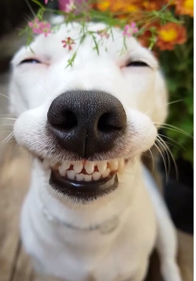 Фото из Яндекса.