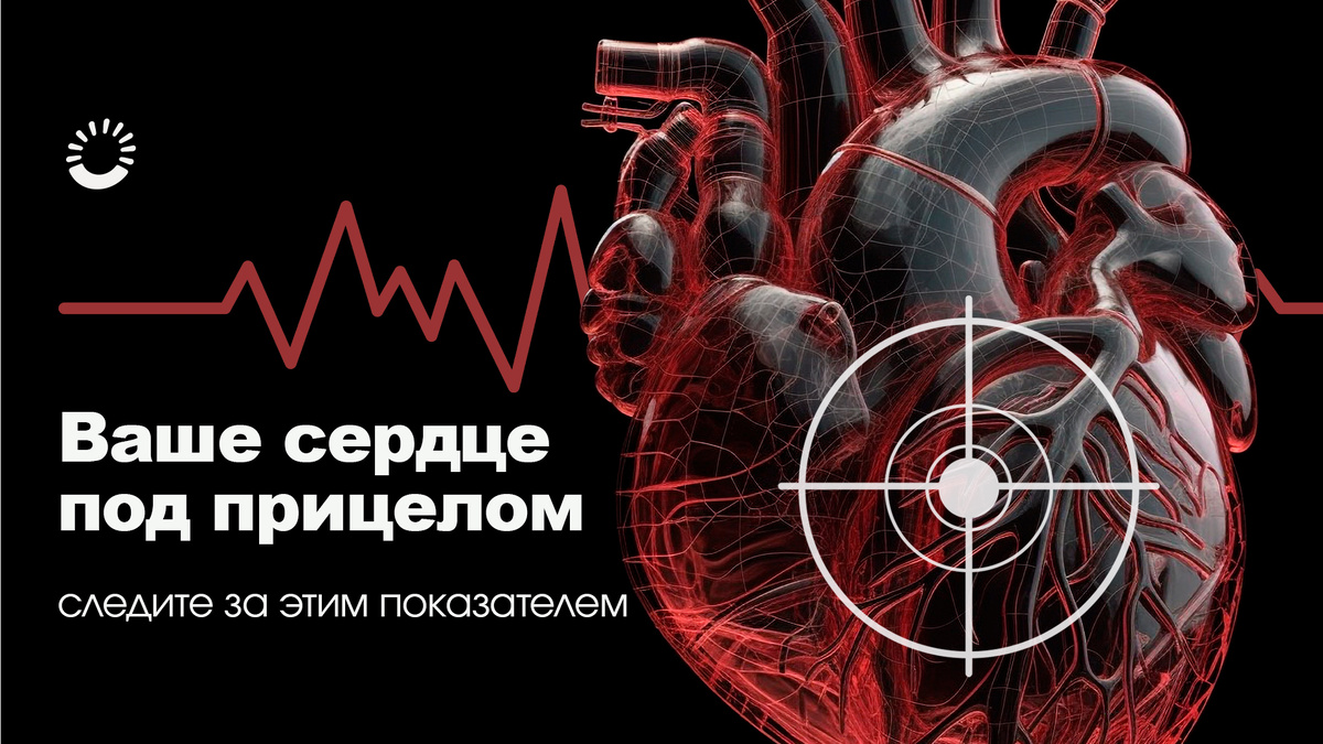 Схематичное изображение сердца